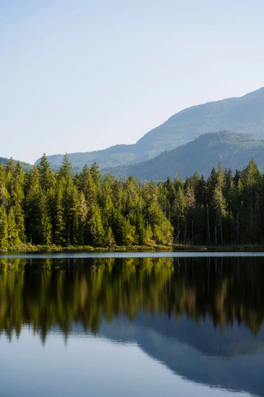 A line of trees and distant mountains being perfectly reflected in the still waters of Waugh Lake near Egmont, BC