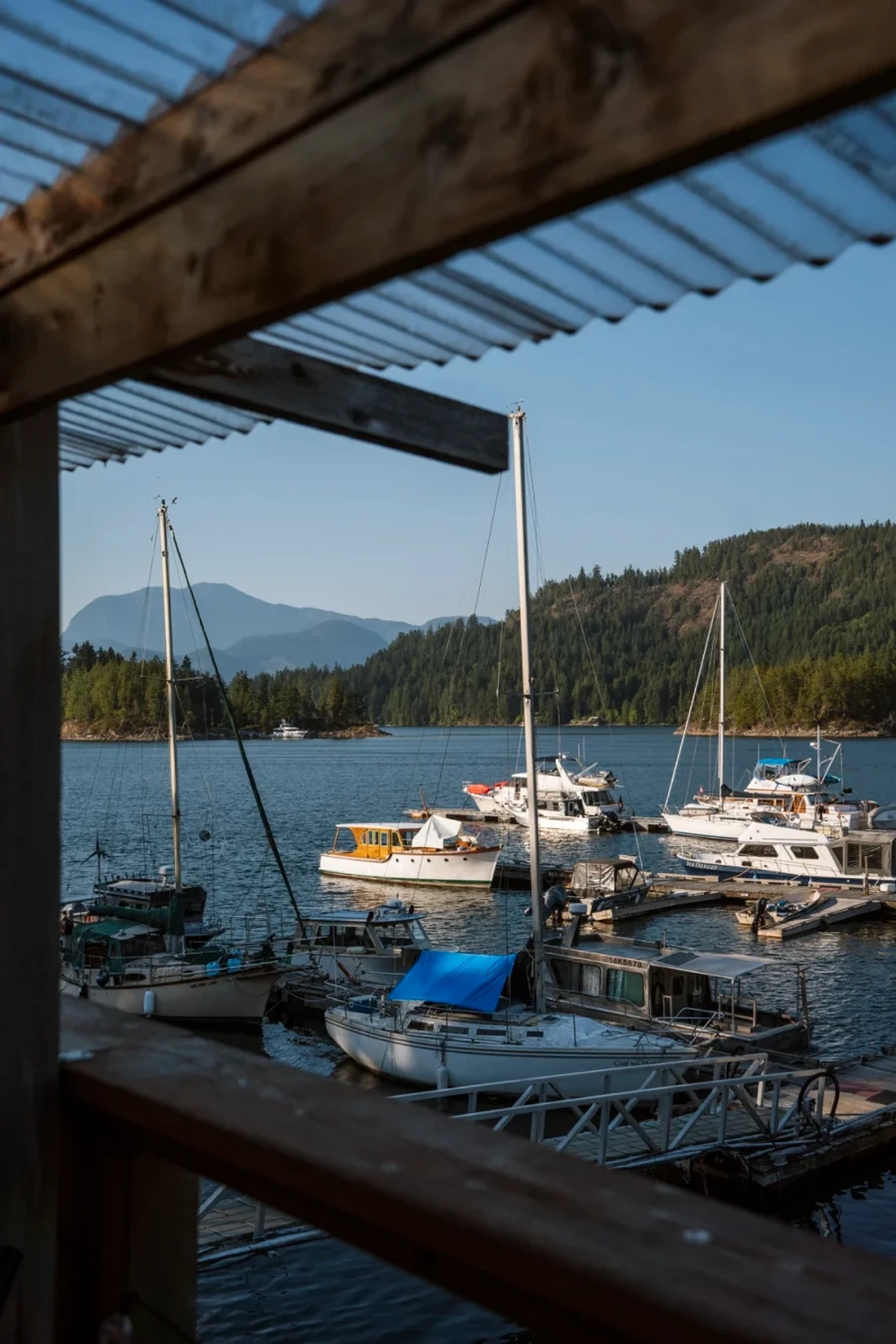 Several sailboats docked along a wooden dock in Egmont, BC