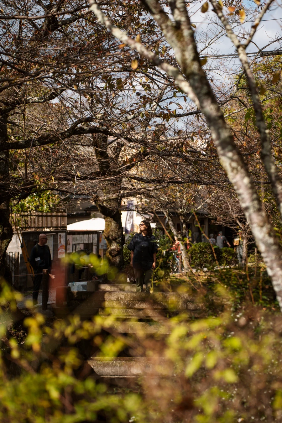A woman framed by bush leaves standing on The Philosopher's Path in Kyoto, Japan