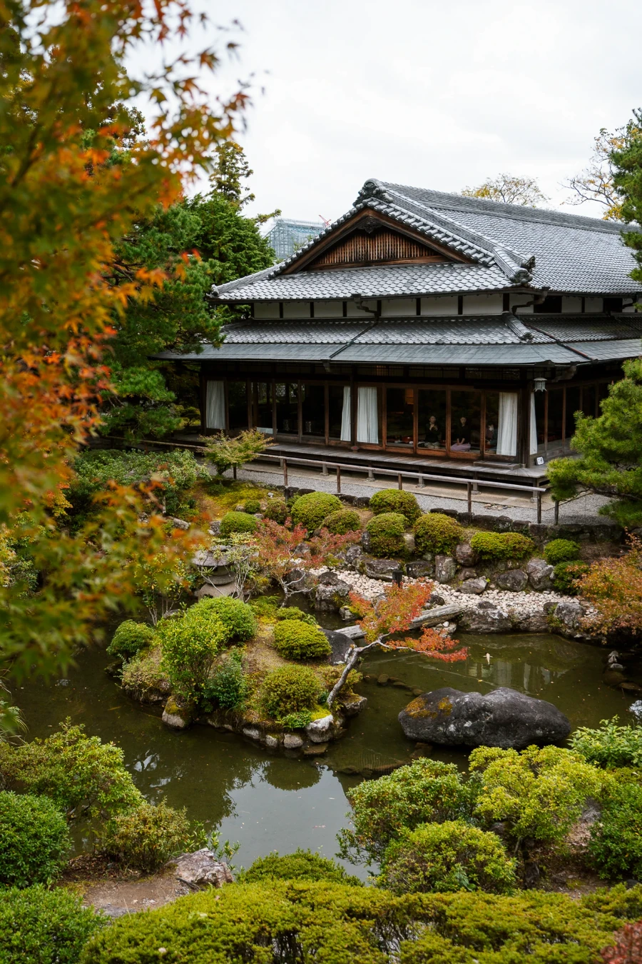 Image related to best things to do in nara park japan