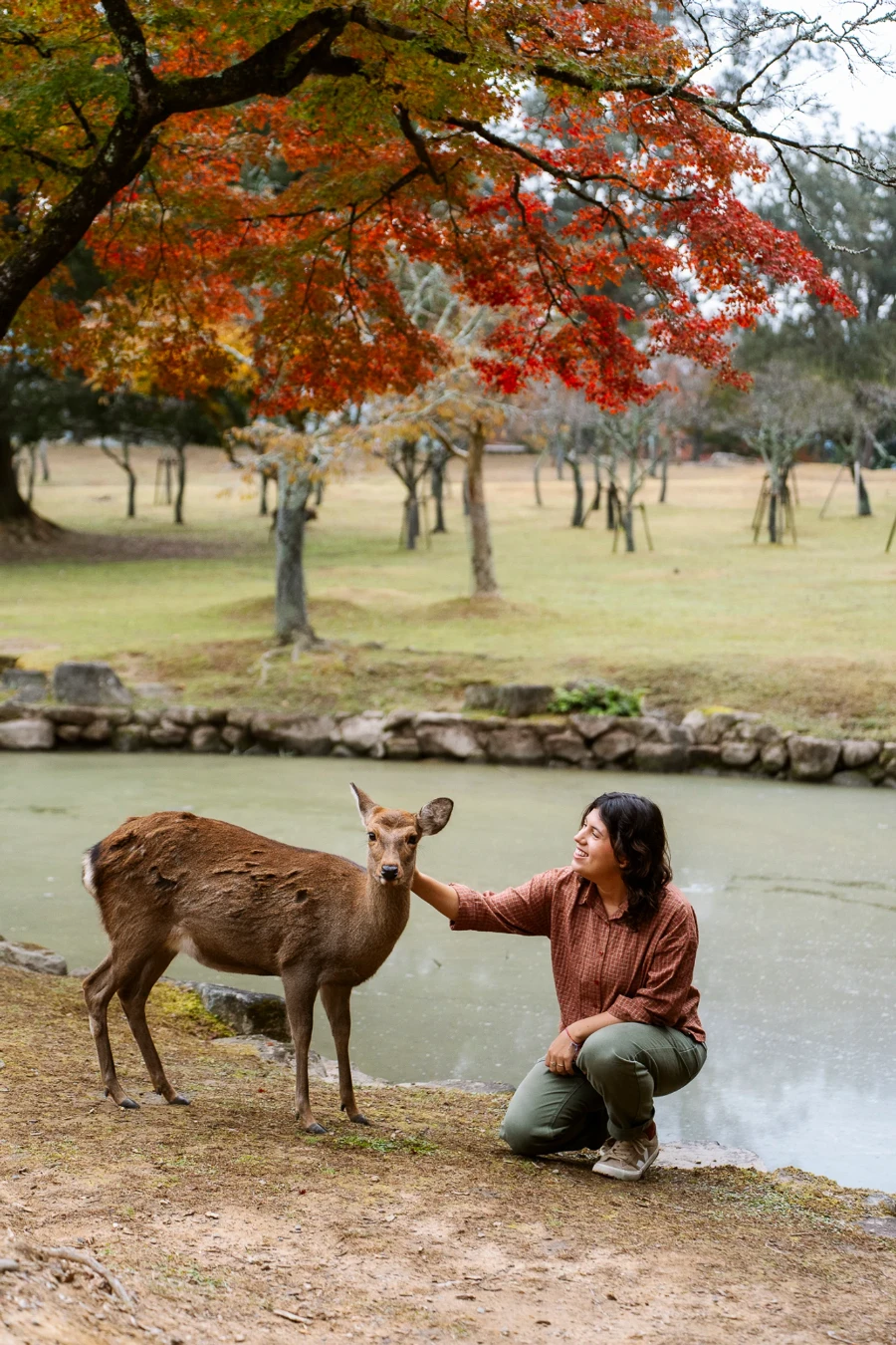 Image related to best things to do in nara park japan