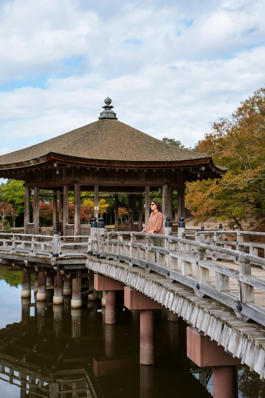 Image related to best things to do in nara park japan