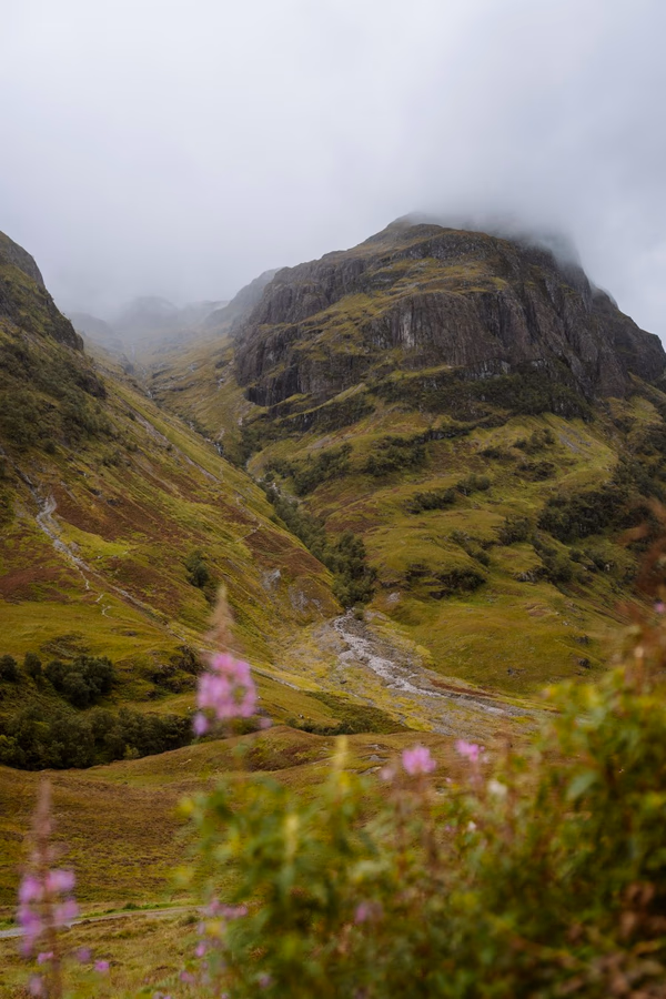 Pink flowers frame a tall waterfall coming down some grassy mountains