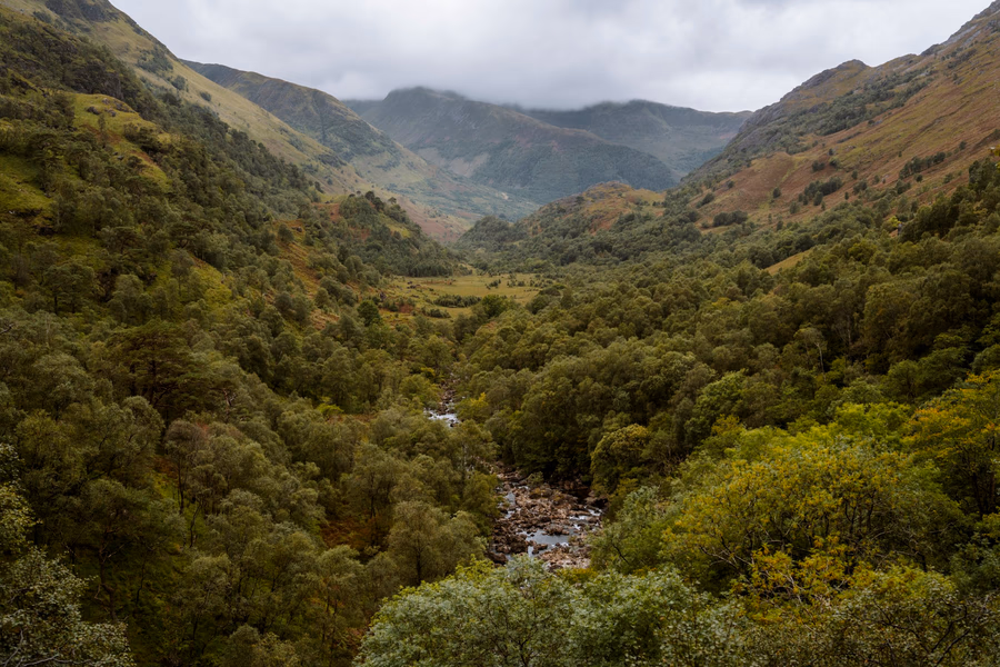 A river meander through a densely forested valley near Glencoe, Scotland