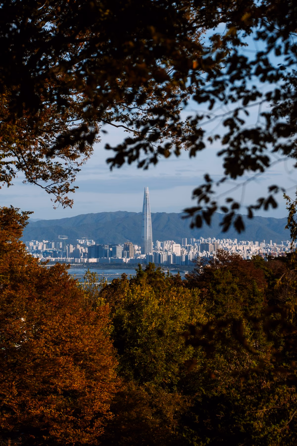 Lotte World Tower framed by fall foliage with the city sprawling out beneath it and and mountains rising behind it