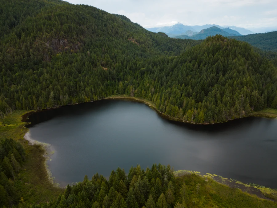 Grafton lake entirely surounded by trees on Bowen Island, BC