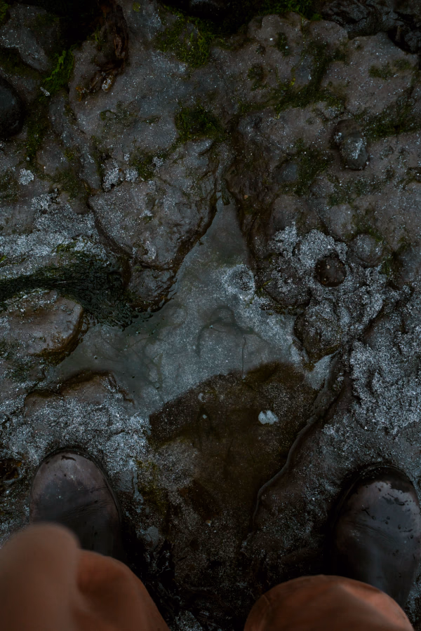 Dinosaur footprint imprinted in the rocks on Coaran Beach on The Isle of Skye, Scotland