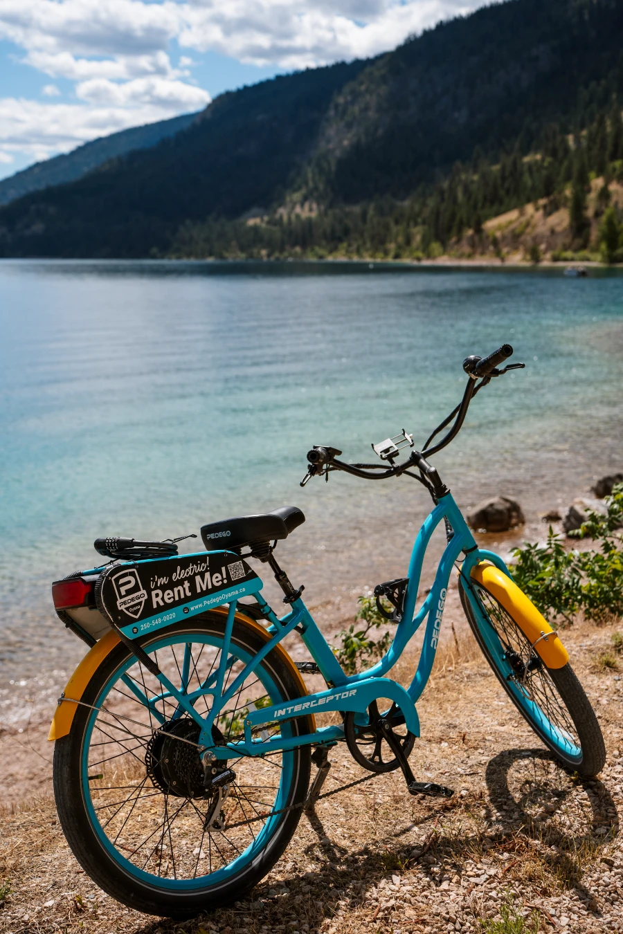 A blue cruiser bike stands held up by its kickstand at the edge of a turquoise lake