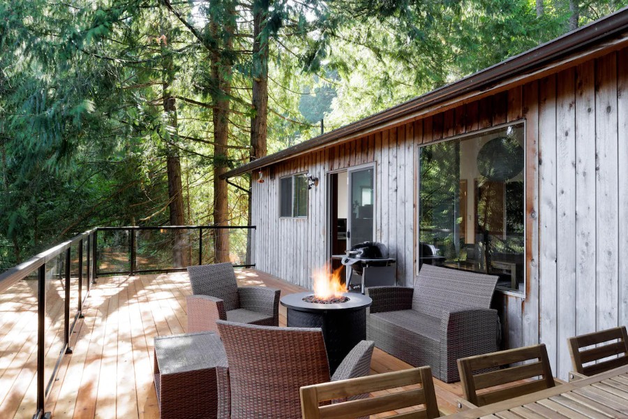 Ocean Vista In The Woods