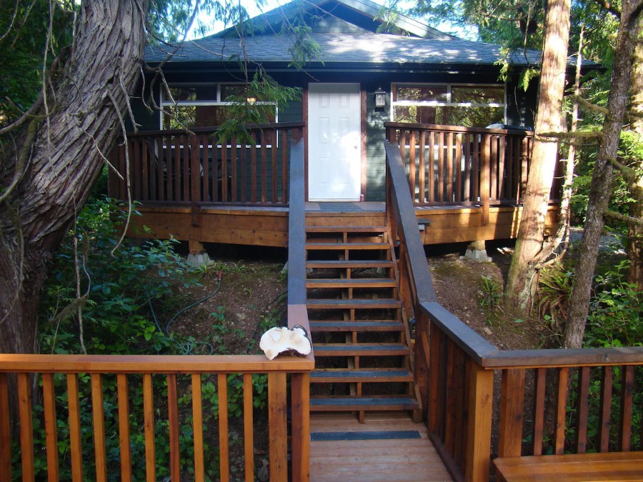 Forest View Cabin