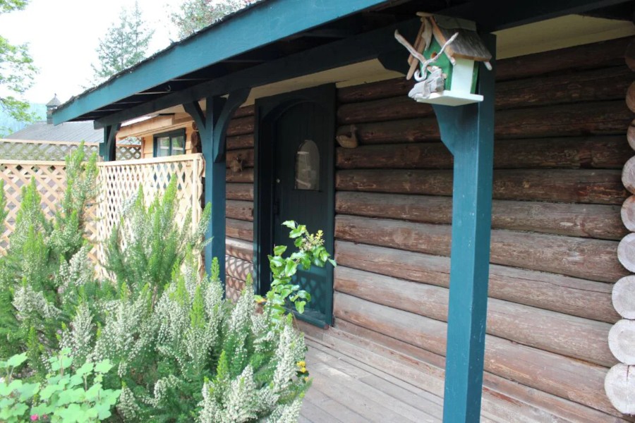 100 Year-Old Log Cabin