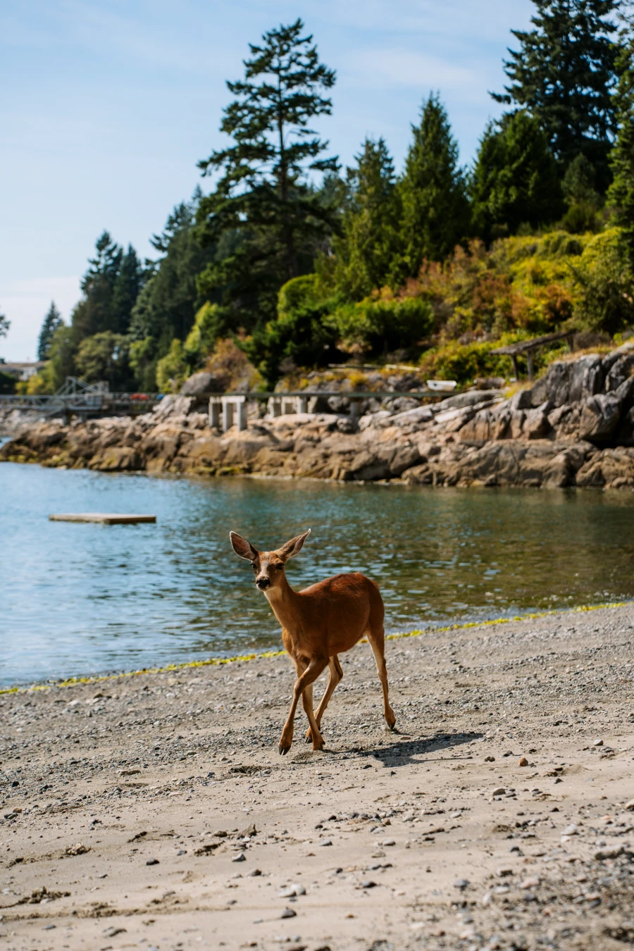 Image related to bowen island car free itinerary