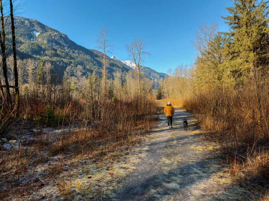 A woman and a dog walk along a wide snow spotted path