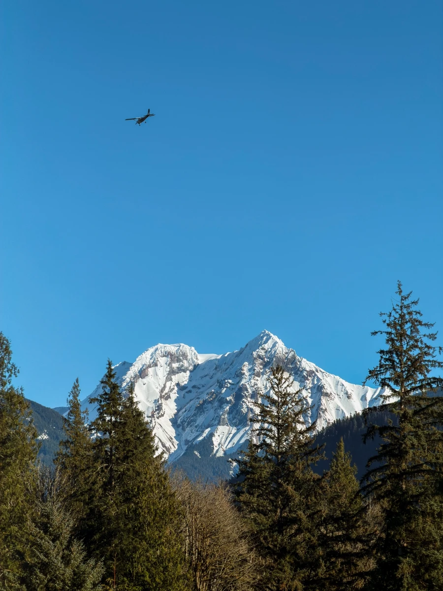 An eagle circles high above evergreen trees and snowy peaks