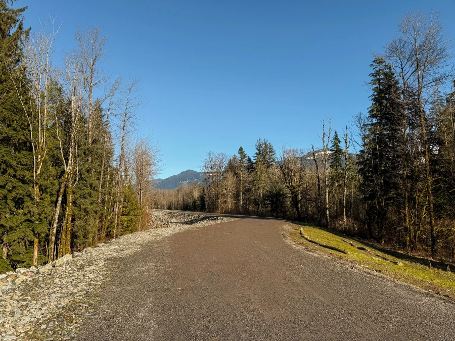 Wide gravel road lined on both sides by trees