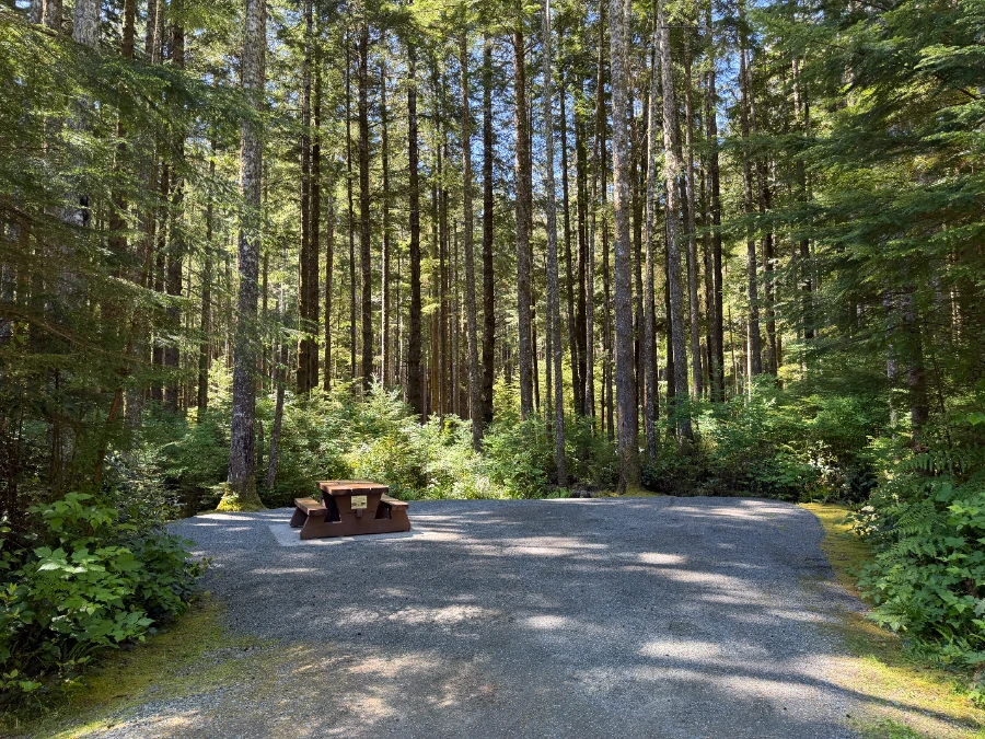 A large flat and well-maintained gravel campsite with a wooden picnic table surrounded by dense forest at China Beach Campground near Jordan River.