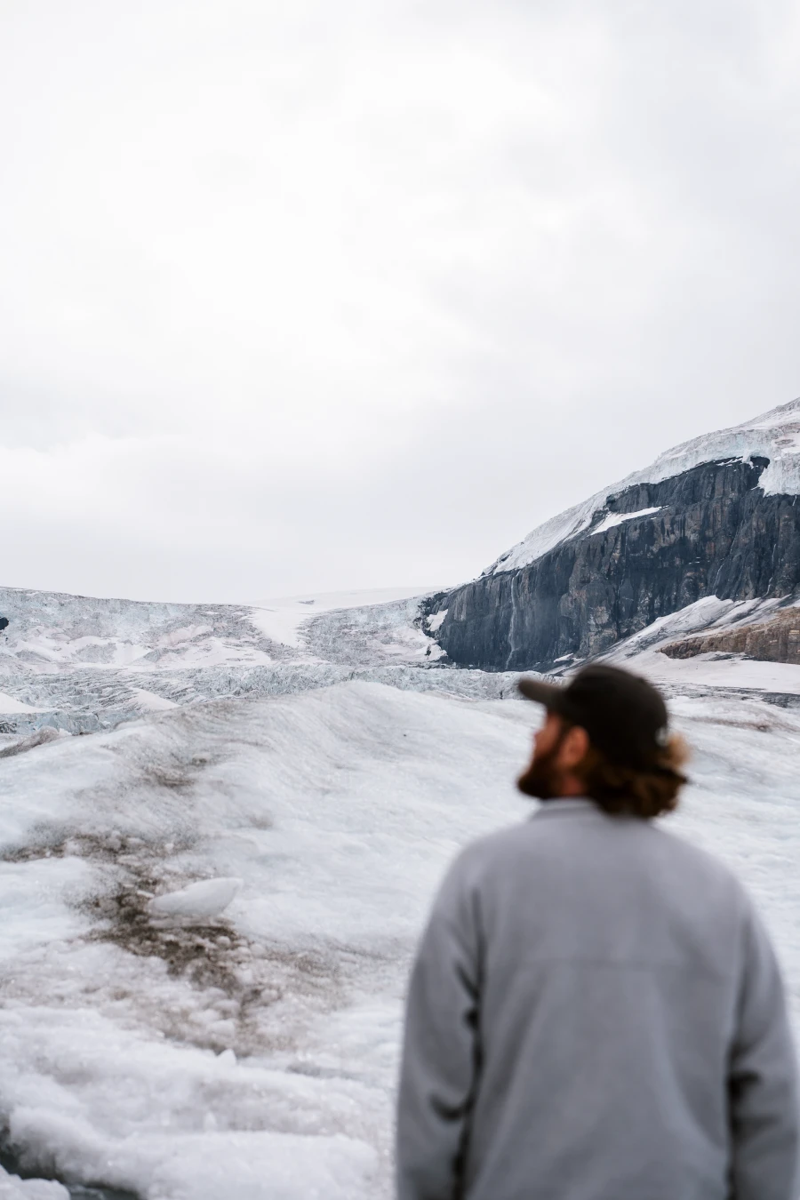 Image related to columbia icefields