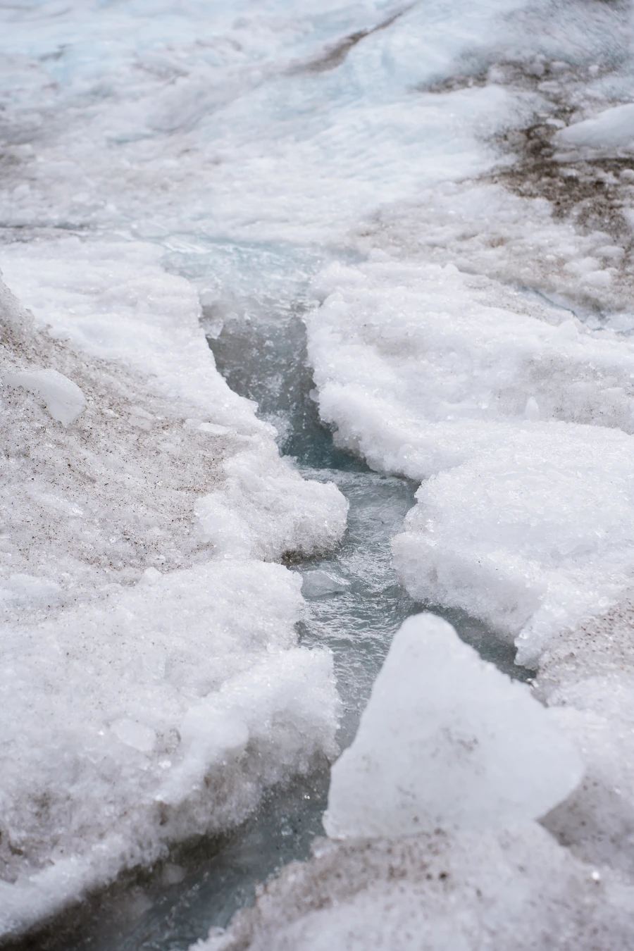 Image related to columbia icefields