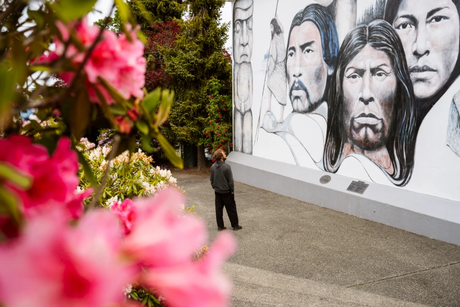 Framed by pink flowers, a man in the distance looks up at a mural drawn on the side of a building in Chemainus