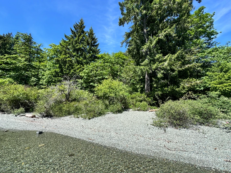 A small pebble beach lined with green shrubs and lush trees