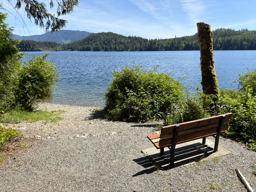 A wooden bench facing out to Cowichan Lake on a small pebble beach
