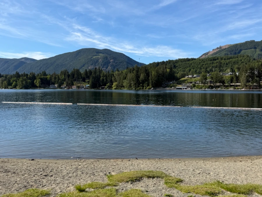 A sandy beach on the edge of Cowichan Lake with a barrier of floating logs creating a confined swimming area