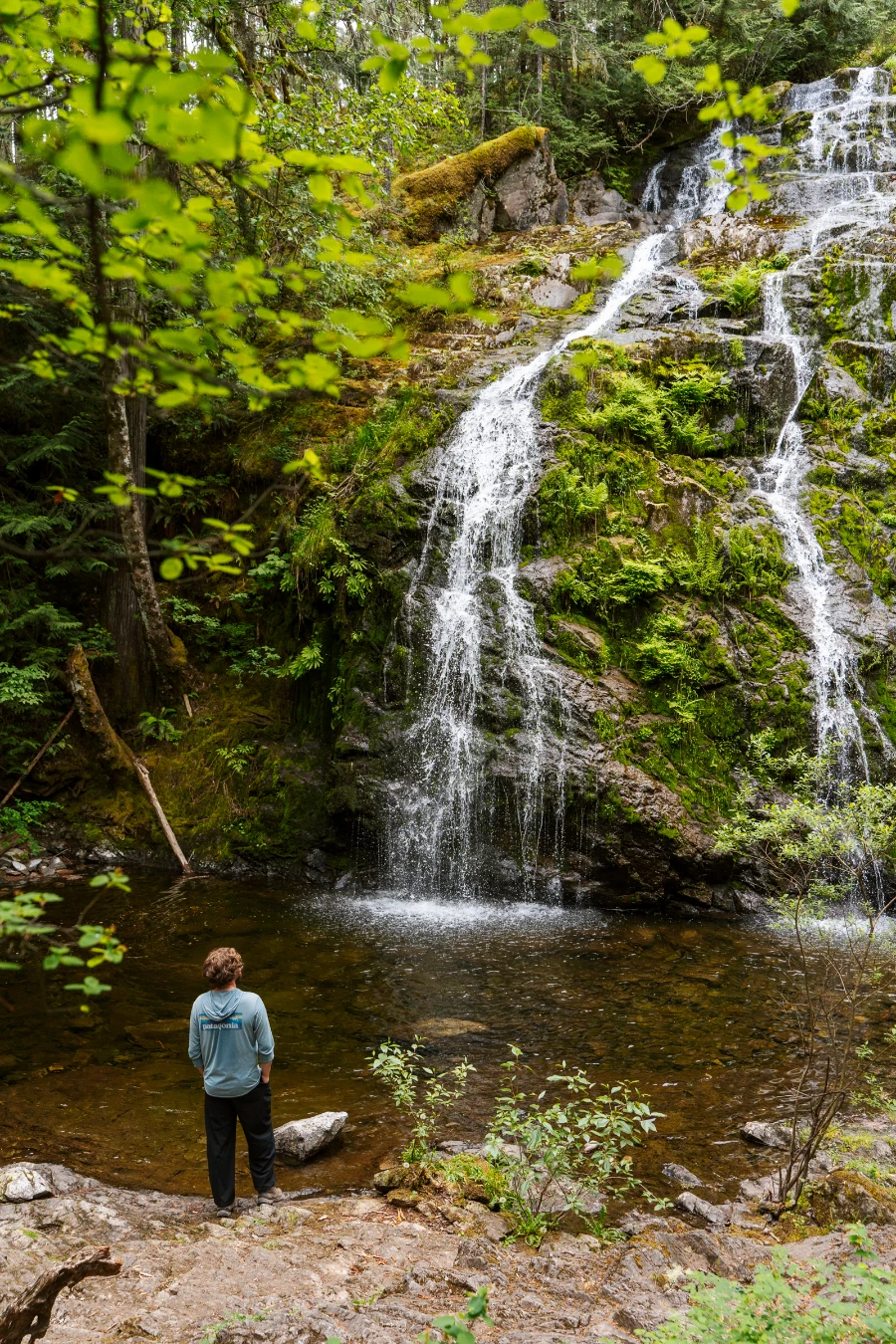 A man stands at the edge of a pond facing out to Christie Falls, pouring across a mossy stone face and into the pond