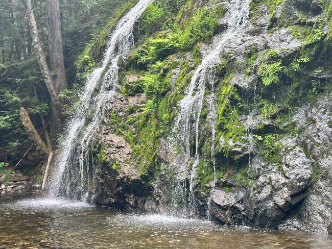 Cowichan Waterfalls: A Guide to the Best Falls in the Region (2026)