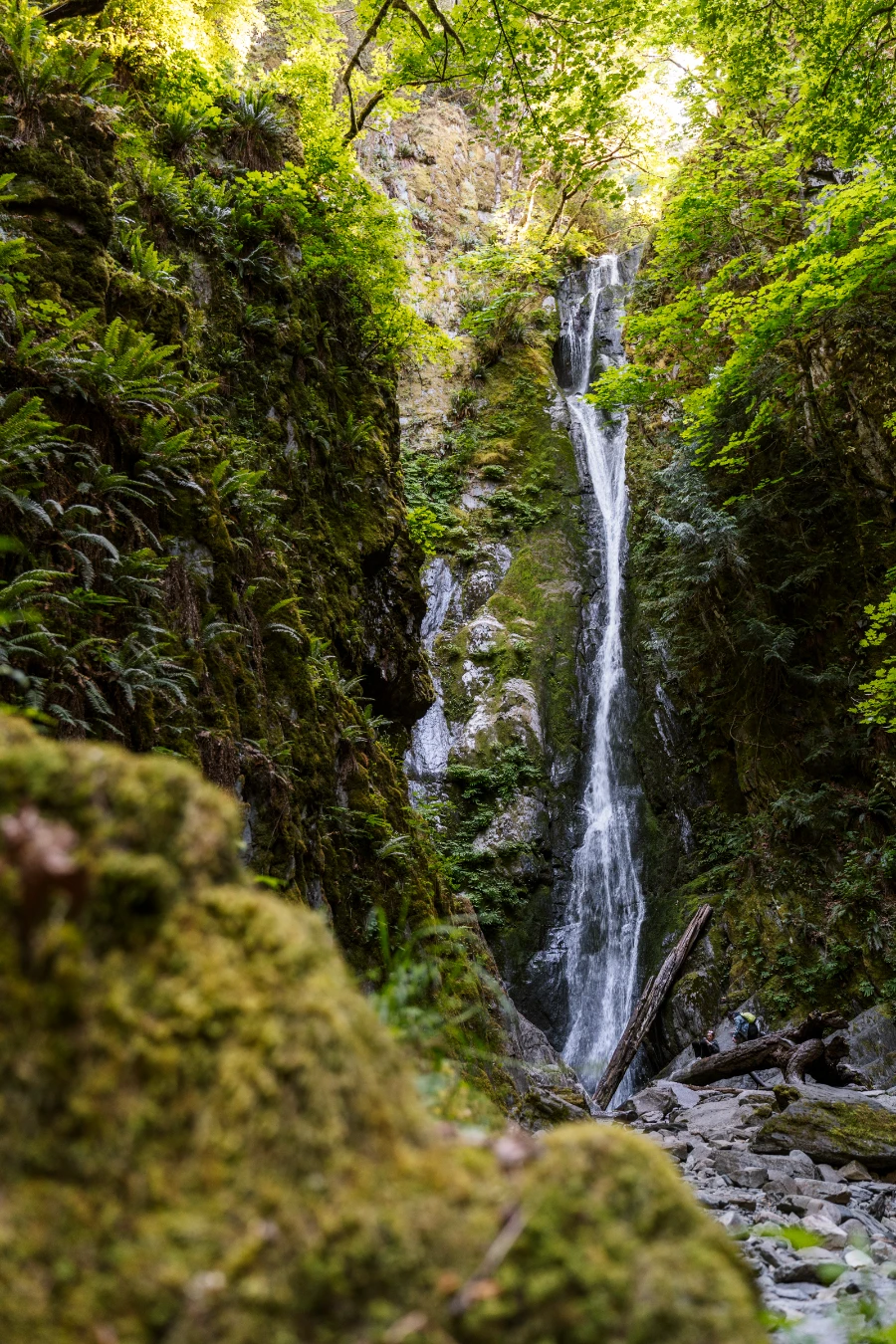 A tall and narrow waterfall pouring over a mossy cliff, framed partially by a mossy rock.