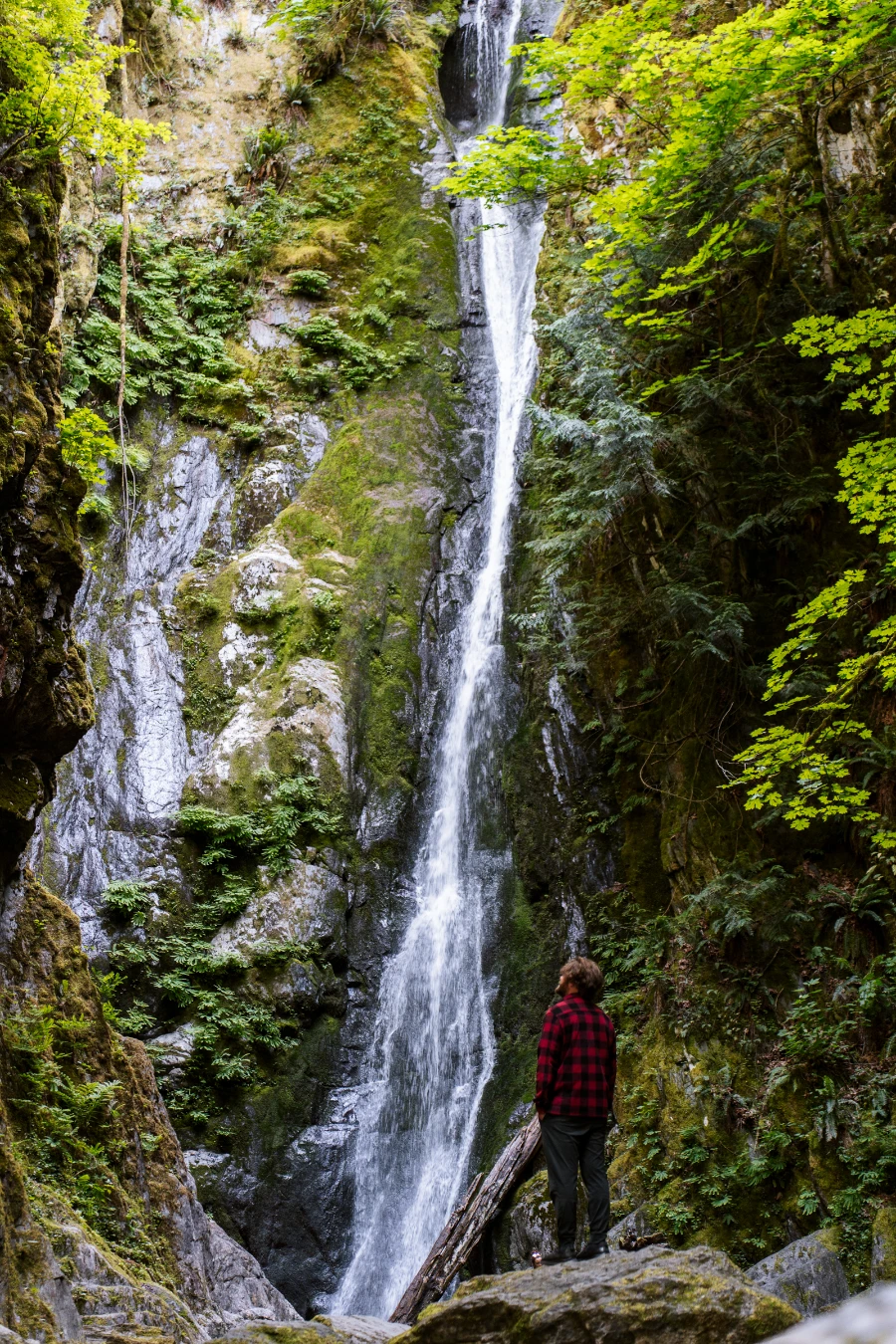 A man in a red flannel shirt stands on top of a rock in front of a tall and narrow waterfall pouring over a mossy cliff.