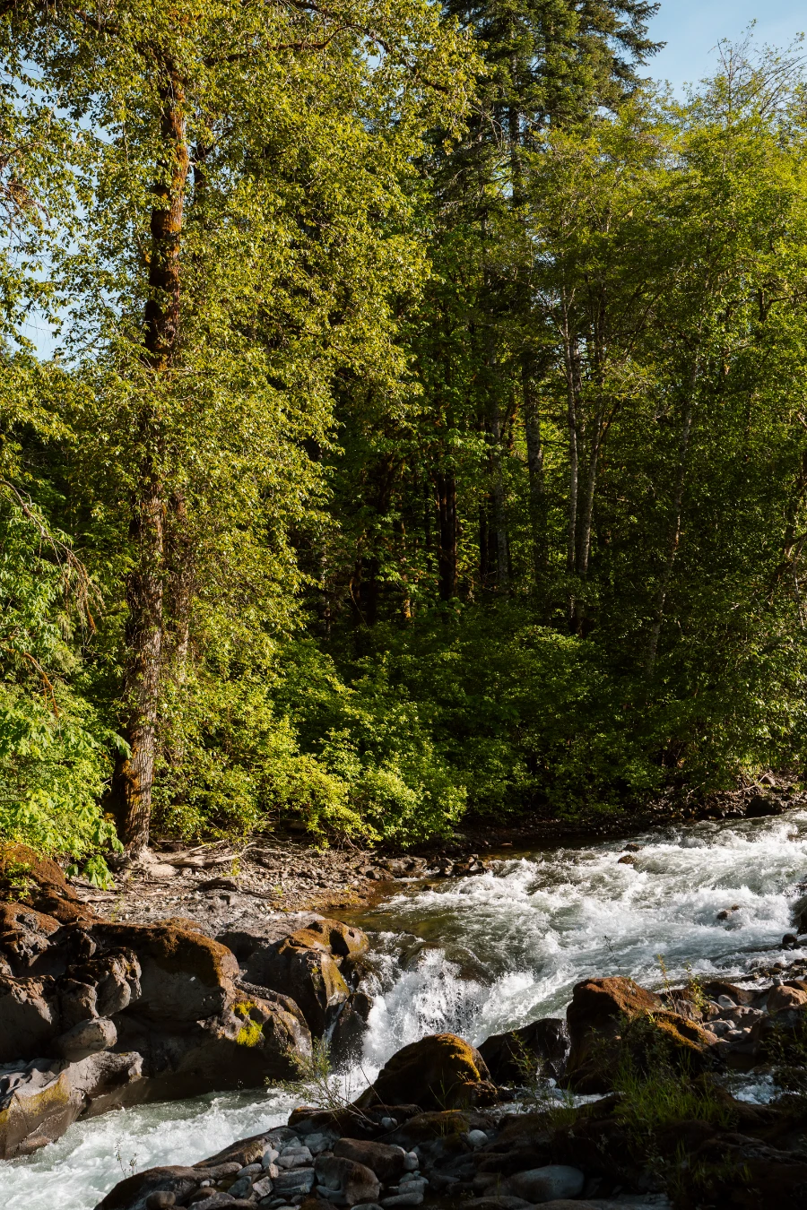 Powerful frothy water pours over several levels of a wide river