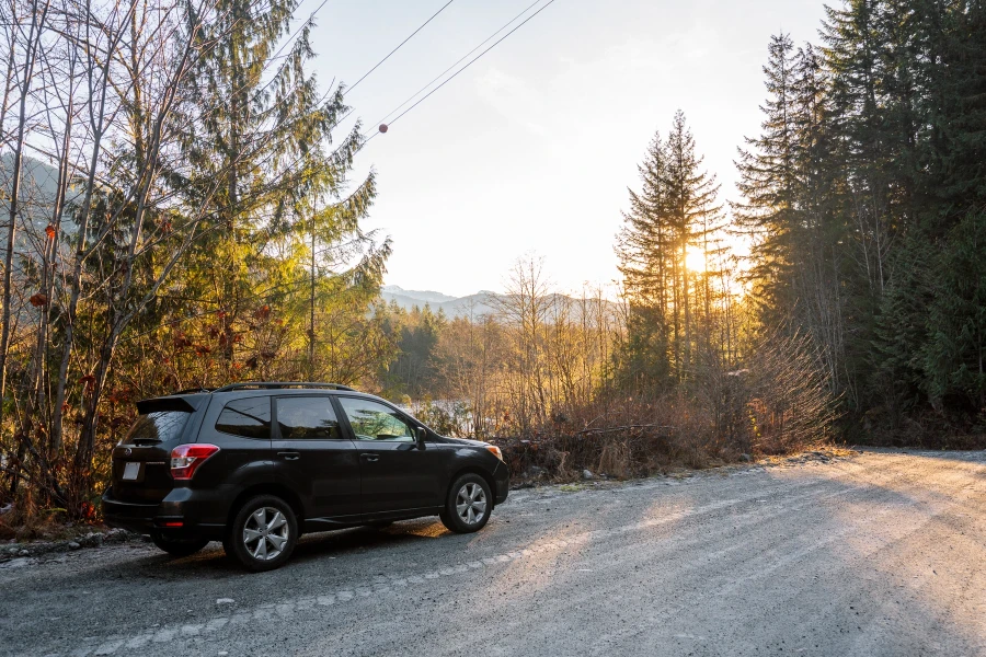 A Subaru Forester parked on the side of a forest service road with sunrise light shining through the bare branches of the surrounding trees