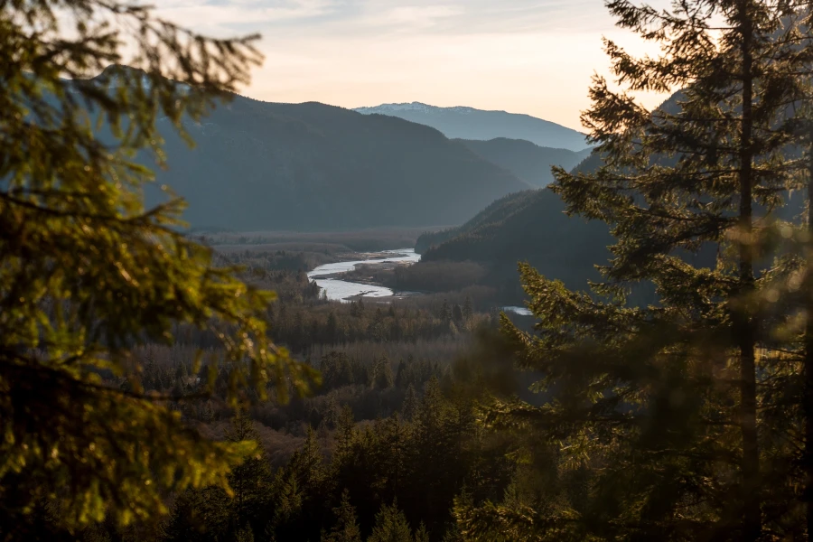 Two evergreen trees in the foreground frame a large valley where a river meanders between mountains and dry winter trees