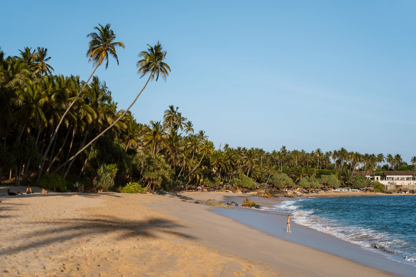 Dozens of palm trees line the long sandy shores of Silent Beach while large waves approach the shore