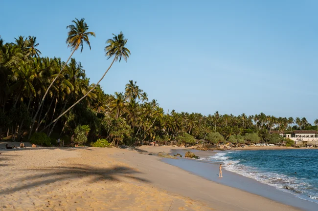 Dozens of palm trees line the long sandy shores of Silent Beach while large waves approach the shore