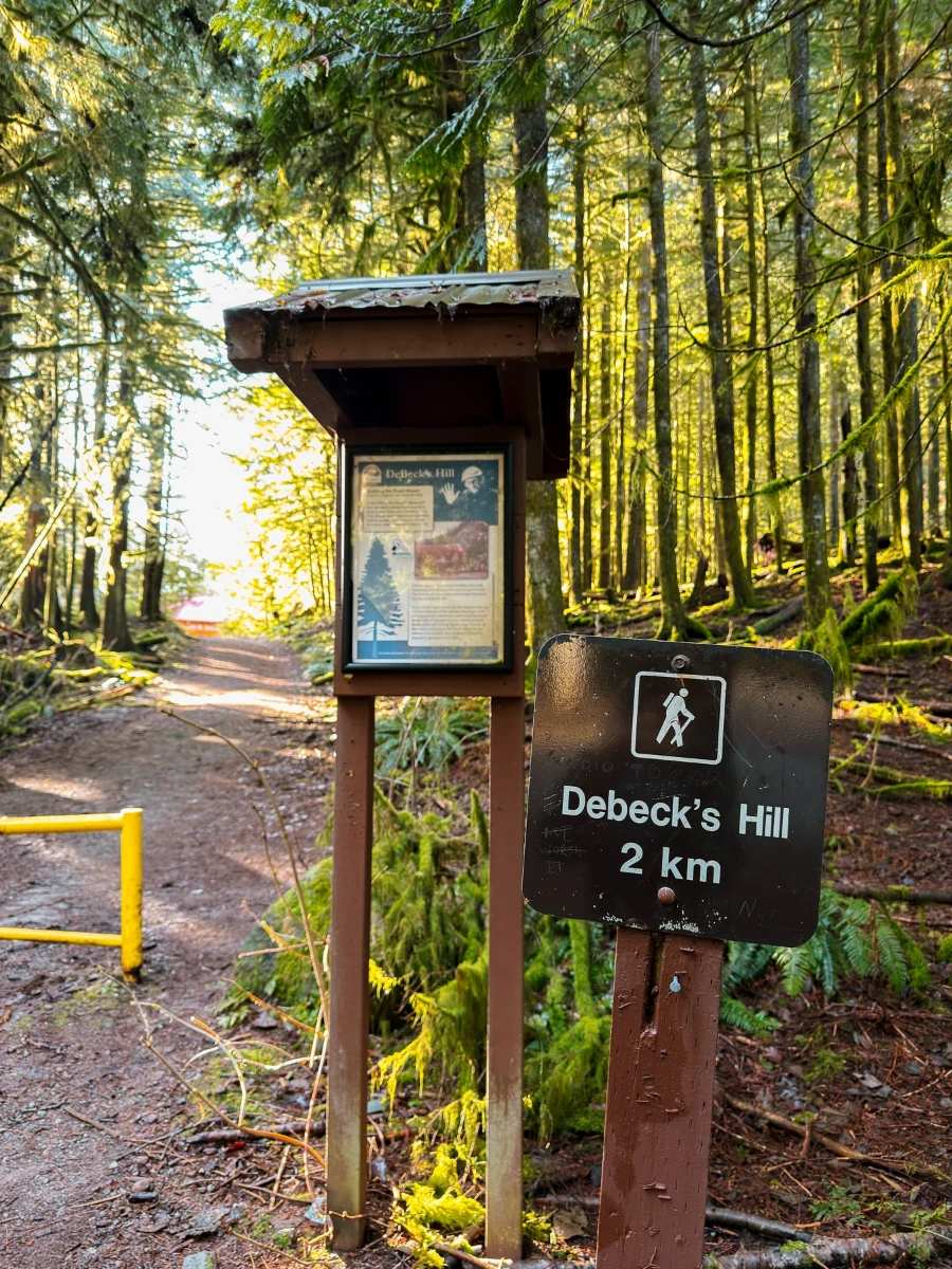 Trailhead sign reads 'Debeck's Hill 2 km' next to a yellow gate in front of a wide dirt path lined on both sides with trees