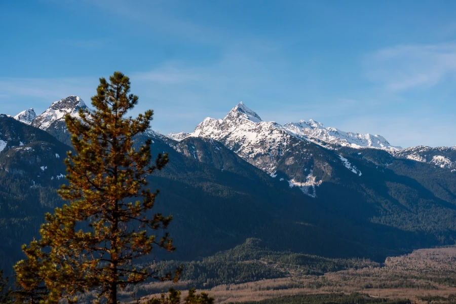 A jagged steep mountain with a snow capped peak looms high above a dry forested valley