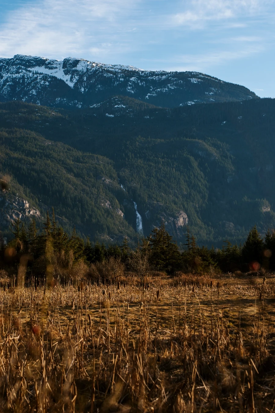 A powerful waterfall tumbles down a forested mountain with a dry field in the foreground
