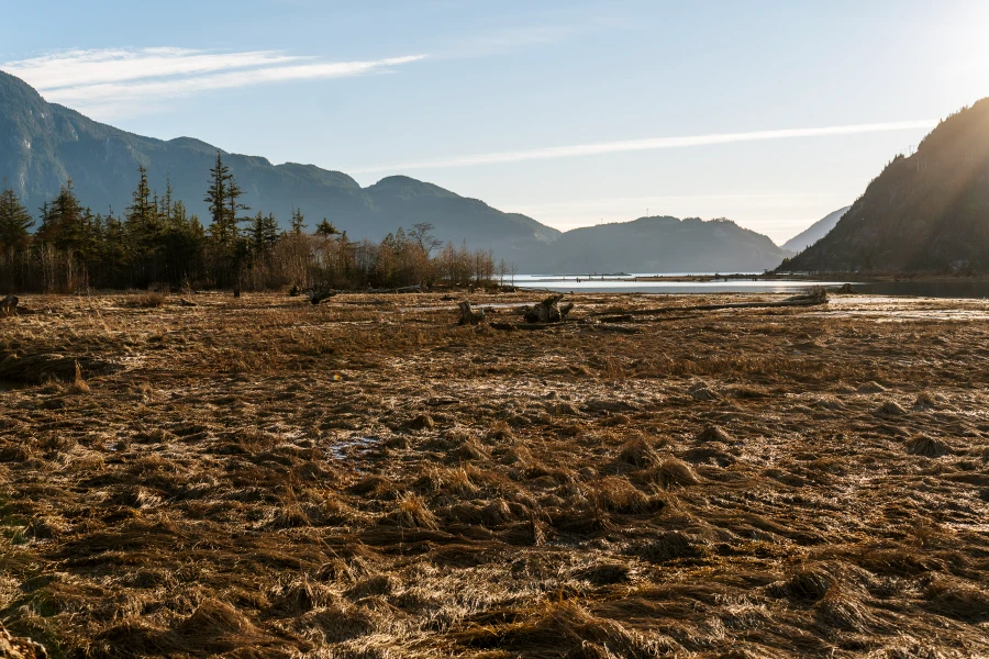 A grassy peninsula dried front the winter weather with a wide river flowing next to it and draining into a sound lined by forested mountains