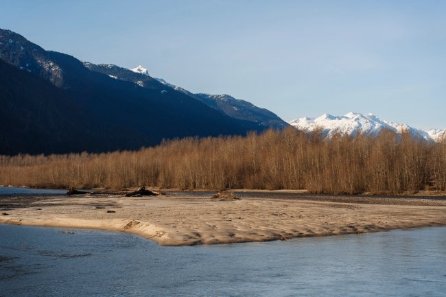 Eagle Run Path, Squamish (2026 Local Guide)
