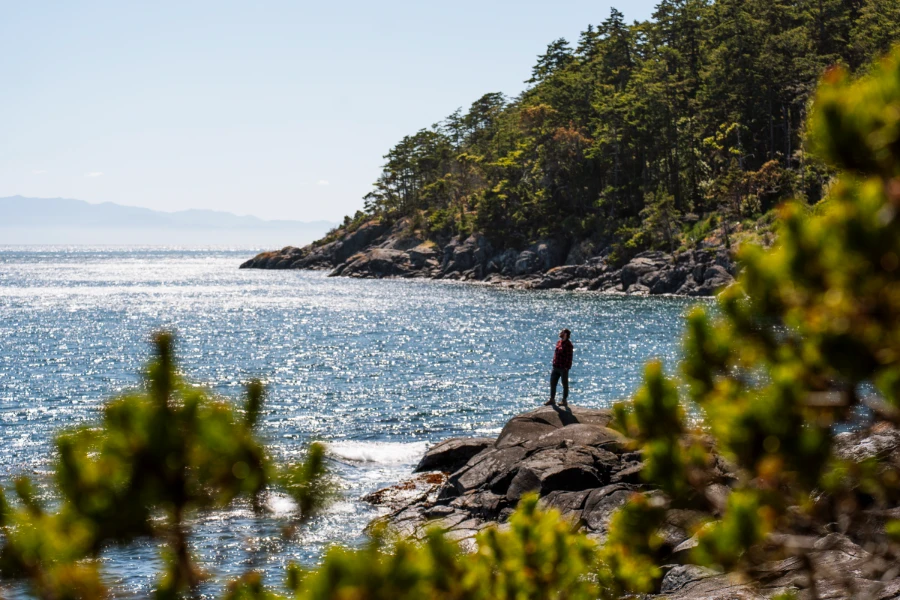 A man stands on a rocky outcrop surrounded by sparkling water and lush green trees in East Sooke Regional Park