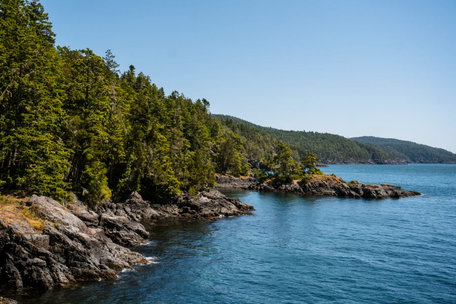 A rocky and tree-covered shoreline runs along a calm and sparkling sea in East Sooke Regional Park