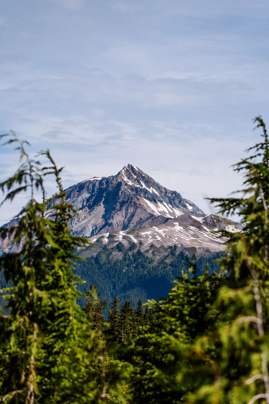 A sharp mountain peak framed by rows of evergreen trees.