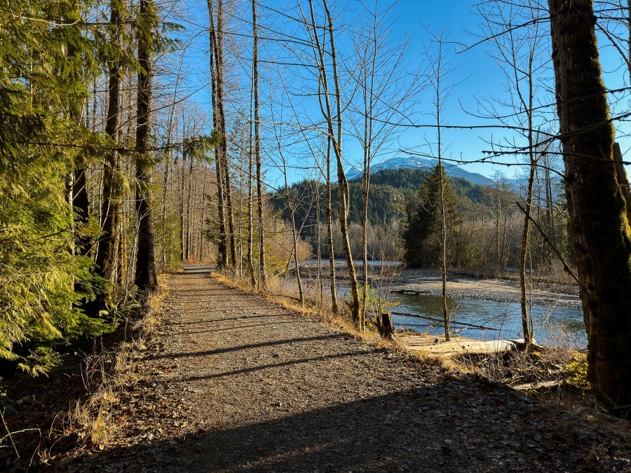 Mamquam Spawning Trail