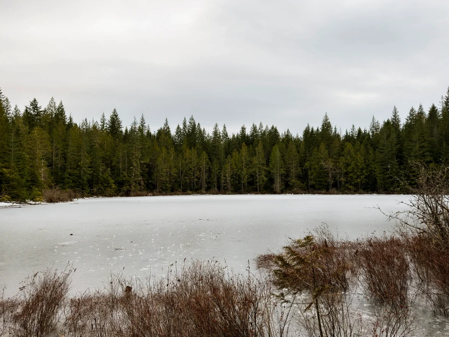 A fully frozen lake surrounded by evergreen trees with a grey sky above it