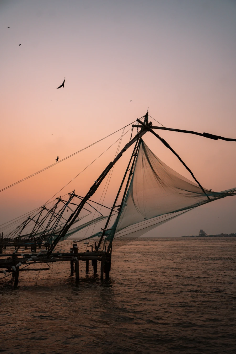 Image related to getting around kerala