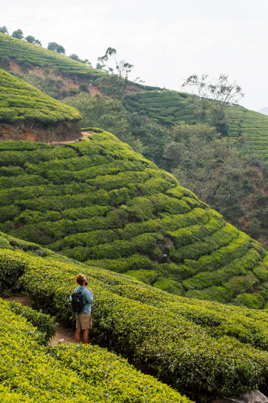 Image related to getting around kerala