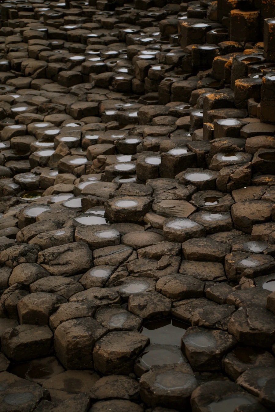 Interlocking haxagon-shaped pillars form an uneven surface and is wet from the spray of the sea