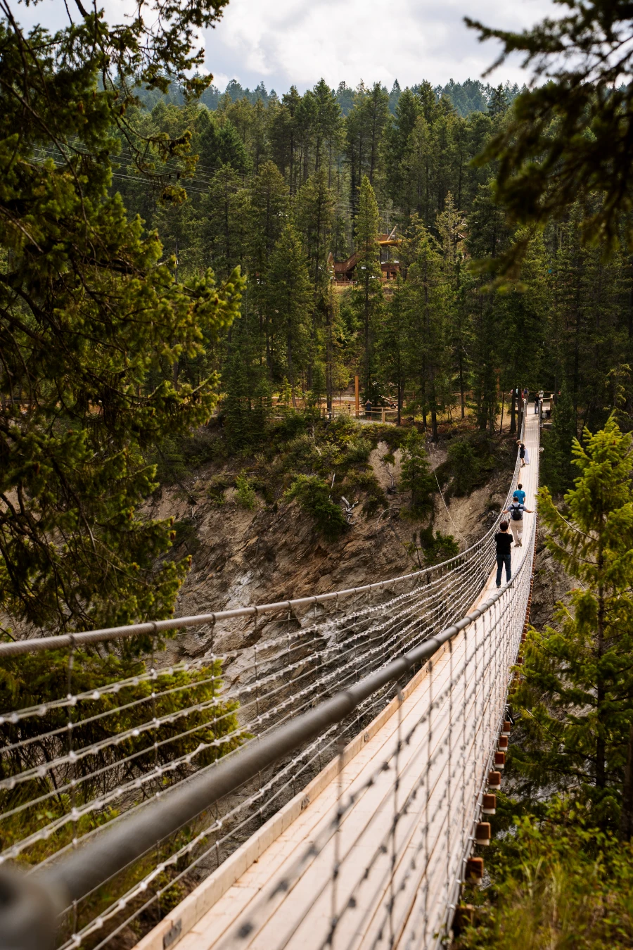 Image related to golden skybridge is it worth it