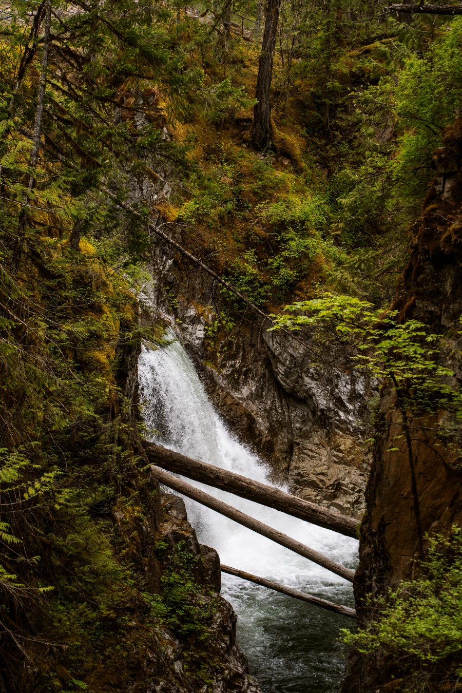A powerful waterfall fills the reservoir below with steep cliffs and leafy green trees